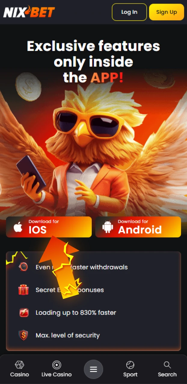 Klik op de knop om de Nixbet iOS-app direct op je toestel te laden.